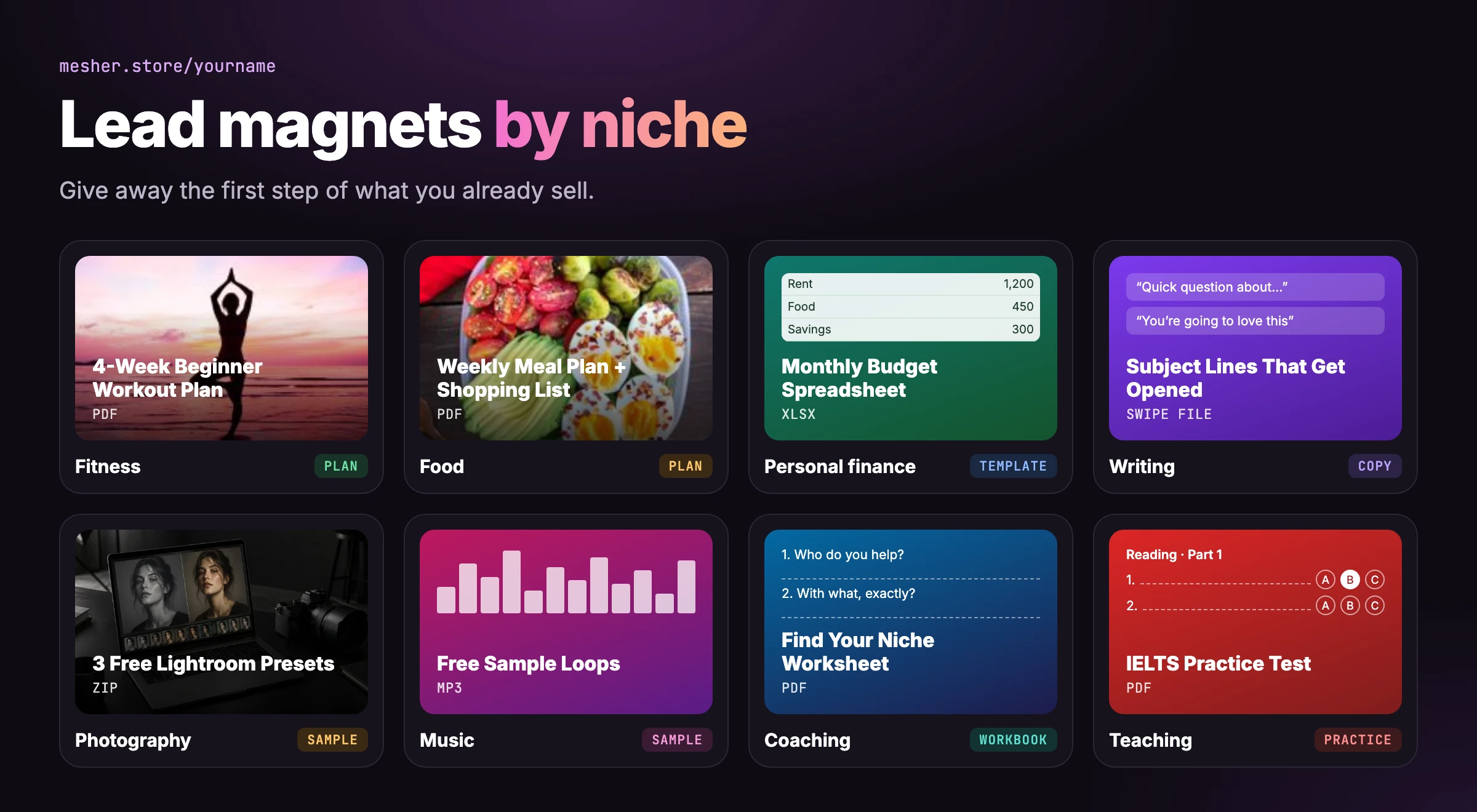 Lead magnet examples for eight niches: a workout plan, a meal plan, a budget spreadsheet, subject lines, Lightroom presets, sample loops, a niche worksheet and an IELTS practice test